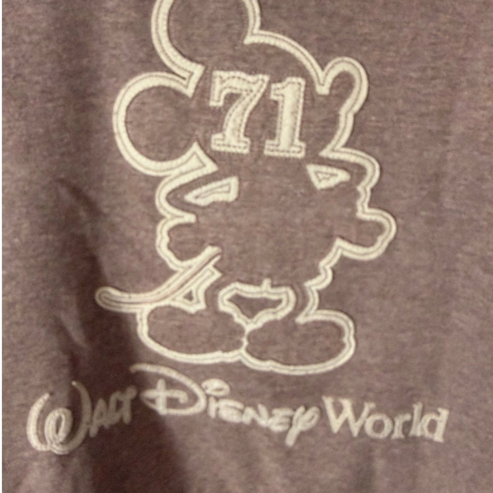 Disney Parks Walt Disney World Mickey Mouse Faux Fur Zip Hoodie Brown Large Cozy - Picture 4 of 6